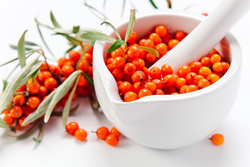 SEA-BUCKTHORN BERRIES CONTAIN VITAMIN C , ARE USED IN PHARMACOLOGY, MEDICINE, COSMETOLOGY