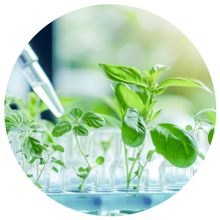 專利天然植萃複合物(樂而暢)