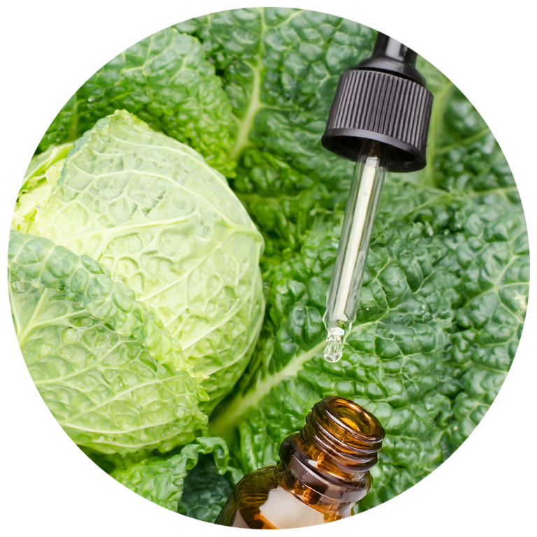 專利高麗菜萃取物