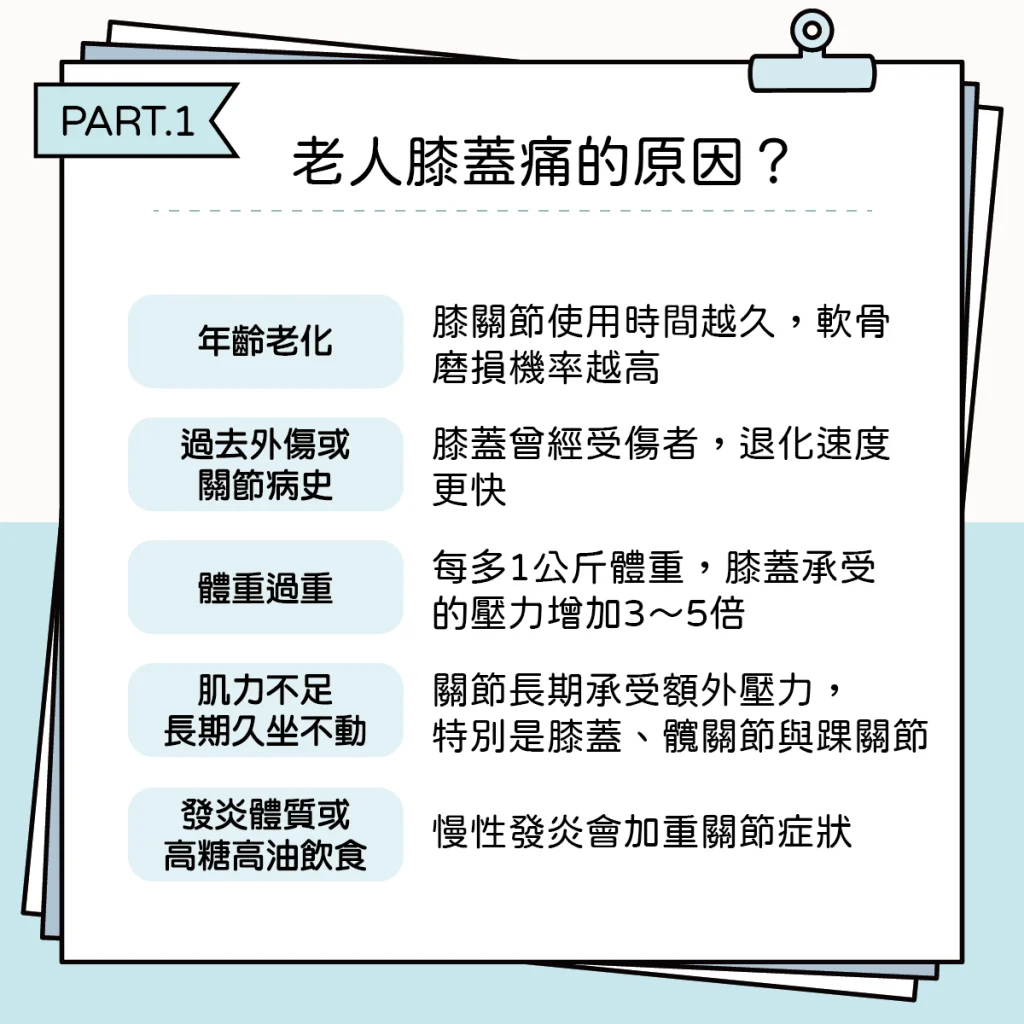 膝蓋吃啥１