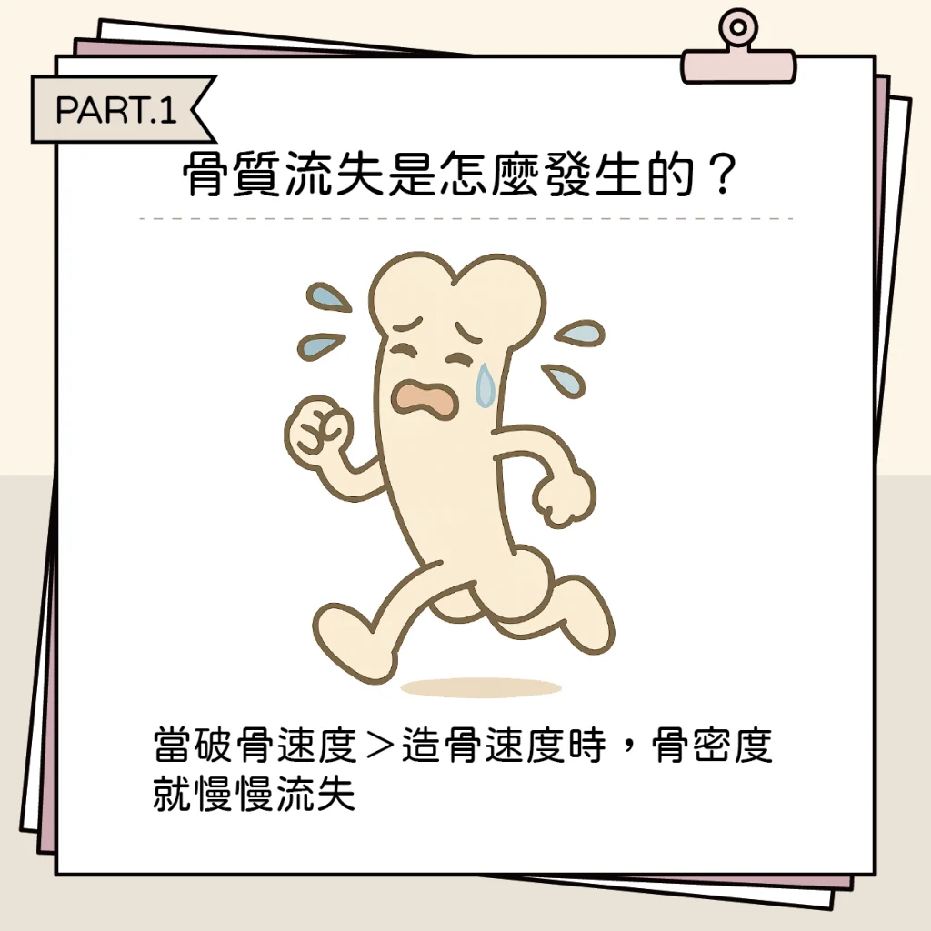 骨質流失後怎麼辦?飲食+運動能不能補回來? 骨質流失01