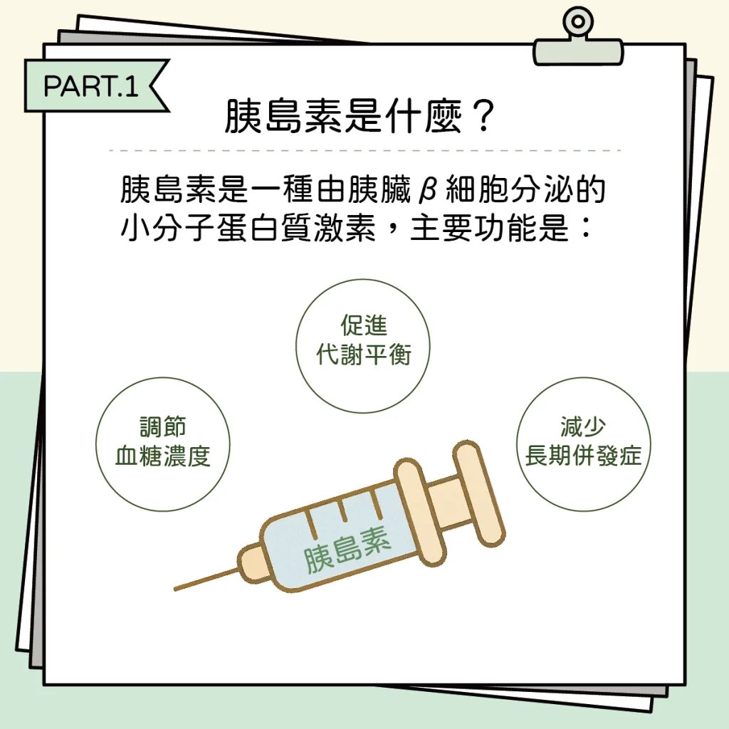 胰島素2