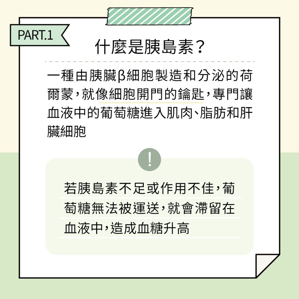 胰島素 工作區域 21